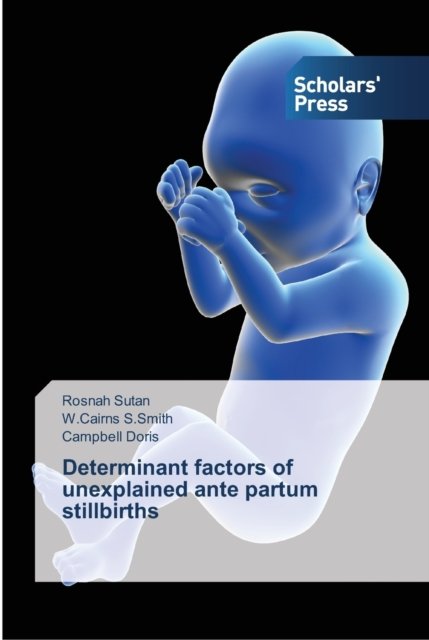 Cover for Rosnah Sutan · Determinant factors of unexplained ante partum stillbirths (Pocketbok) (2013)