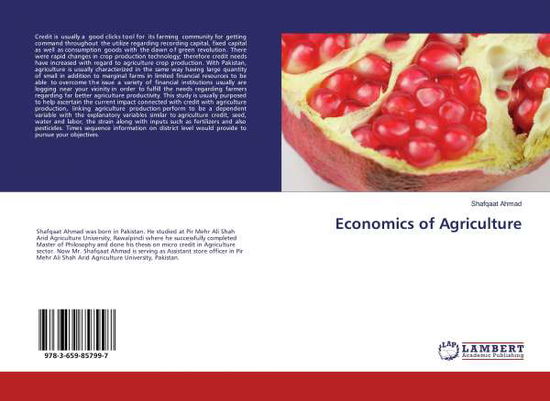 Economics of Agriculture - Ahmad - Books -  - 9783659857997 - 