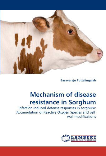 Cover for Basavaraju Puttalingaiah · Mechanism of Disease Resistance in Sorghum: Infection Induced Defense Responses in Sorghum: Accumulation of Reactive Oxygen Species and Cell  Wall Modifications (Paperback Book) (2011)
