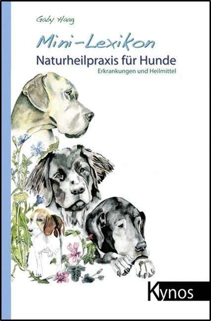 Mini-Lexikon Naturheilpraxis für H - Haag - Bücher -  - 9783942335997 - 