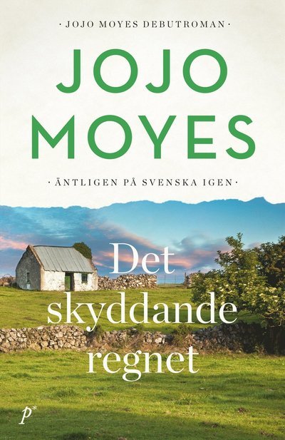 Cover for Jojo Moyes · Det skyddande regnet (Gebundesens Buch) (2024)