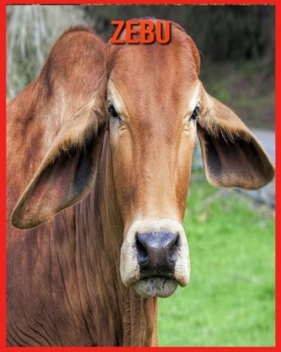 Zebu - Alicia Moore - Boeken - Independently Published - 9798707365997 - 10 februari 2021