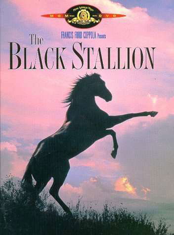 Cover for Black Stallion (DVD) [Widescreen edition] (1997)