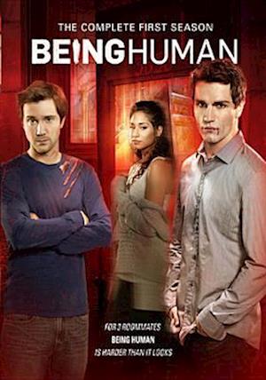 Cover for Being Human · Complete First Season (DVD) (2024)