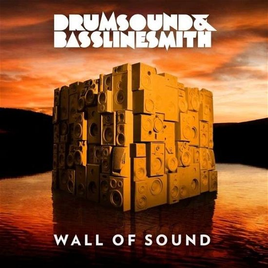 Wall Of Sound - Drumsound & Bassline Smith - Muziek - NEW STATE - 0885012011998 - 25 juli 2013