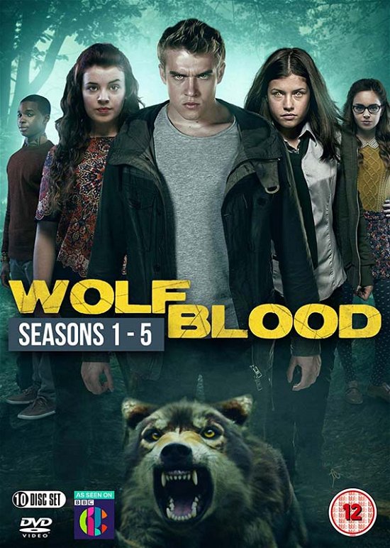 WolfBlood Series 1 to 5 - Wolfblood  Series 15 Complete Box - Elokuva - Dazzler - 5060352302998 - maanantai 15. lokakuuta 2018