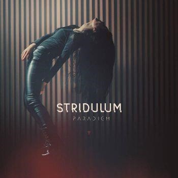 Cover for Stridulum · Paradigm (CD)