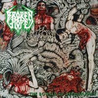 Cover for Broken Hope · The Bowels of Repugnance (LP) (2020)