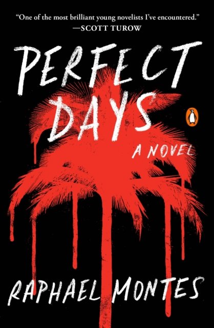 Cover for Raphael Montes · Perfect Days: A Novel (Taschenbuch) (2017)
