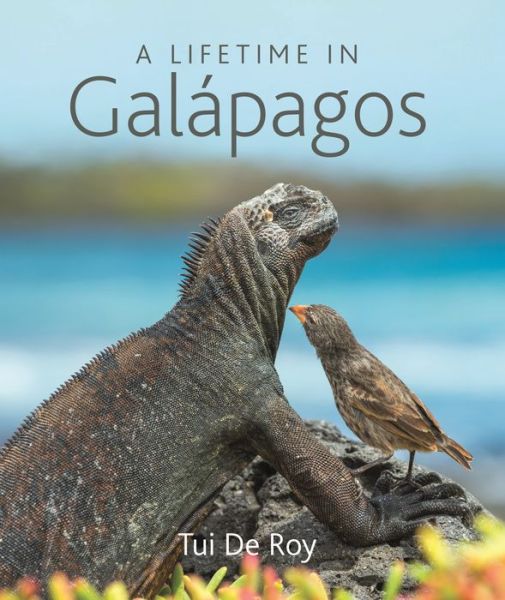 Cover for Tui De Roy · A Lifetime in Galapagos (Hardcover Book) (2020)