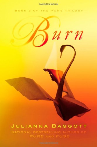 Cover for Julianna Baggott · Burn (Pure Trilogy) (Hardcover Book) (2014)