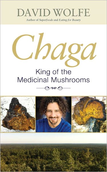 Cover for David Wolfe · Chaga (Paperback Book) (2012)