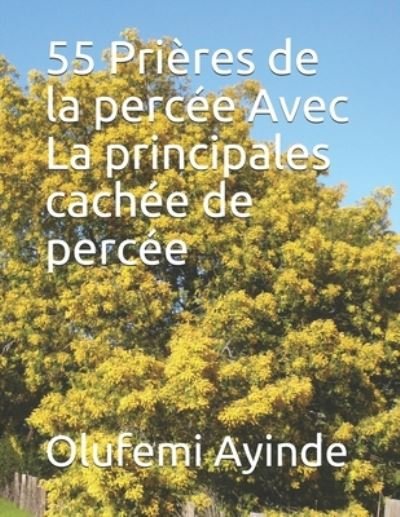 Cover for Olufemi Ayinde · 55 Prieres de la percee Avec La principales cachee de percee (Paperback Book) (2018)