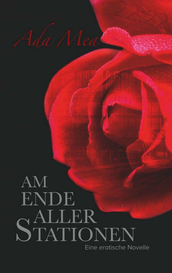 Cover for Mea · Am Ende aller Stationen (Book)