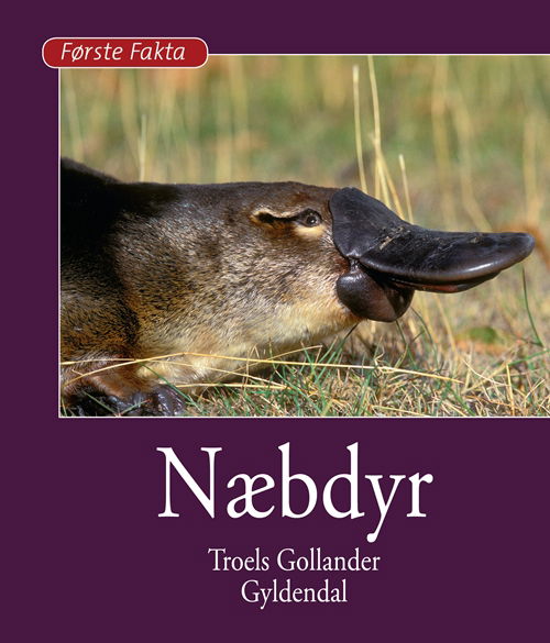 Første Fakta: Næbdyr - Troels Gollander - Livros - Gyldendal - 9788702120998 - 27 de janeiro de 2012