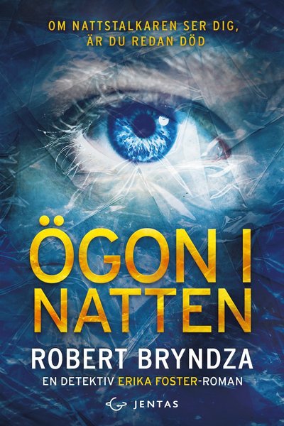 Erika Foster: Ögon i natten - Robert Bryndza - Books - Jentas - 9789185247998 - September 5, 2019