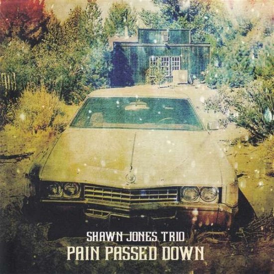 Shawn -Trio- Jones · Pain Passed Down (CD) (2017)