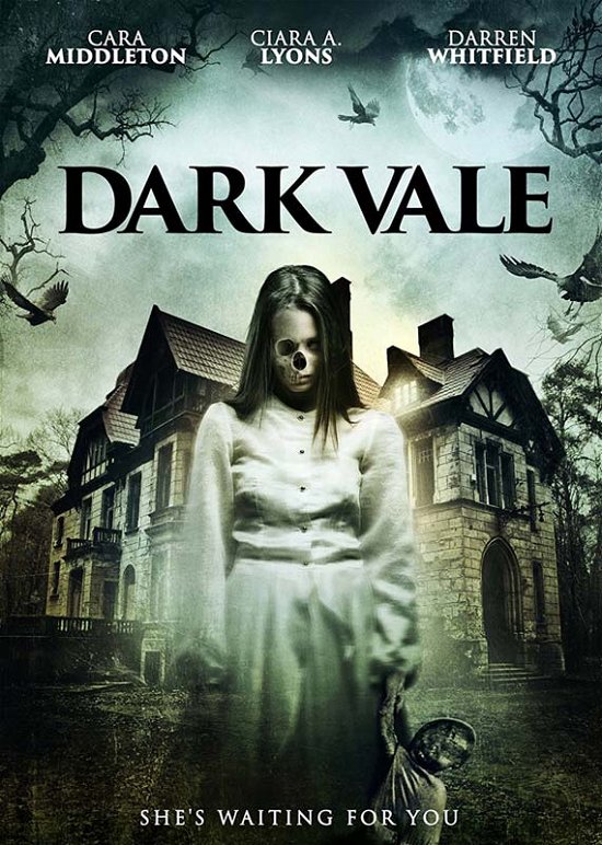 Cover for Dark Vale · Dark Vale (USA Import) (DVD) (2018)
