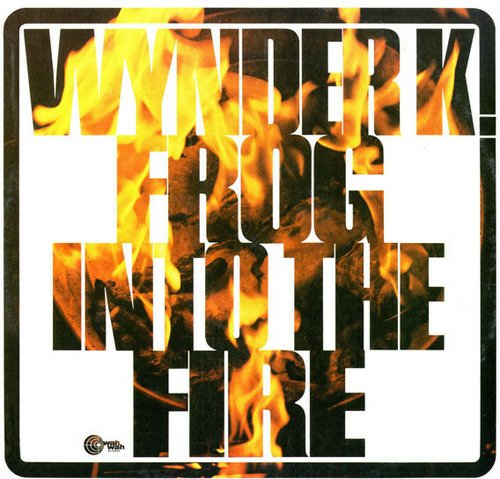 Into The Fire - Wynder K Frog - Musik - WAH WAH RECORDS - 4040824087999 - 6 juli 2018