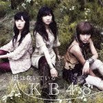 Cover for Akb48 · Kaze Ha Fuite Iru &lt;type-b&gt; (CD) [Japan Import edition] (2011)
