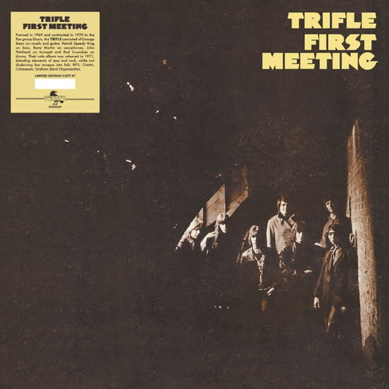 Cover for Trifle · First Meeting (LP) [Limited edition] (2024)