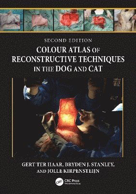 Cover for Gert Ter Haar · Colour Atlas of Reconstructive Techniques in the Dog and Cat (Hardcover Book) (2025)