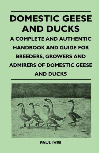 Cover for Paul Ives · Domestic Geese and Ducks - a Complete and Authentic Handbook and Guide for Breeders, Growers and Admirers of Domestic Geese and Ducks (Paperback Book) (2010)