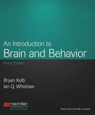 Cover for Bryan Kolb · Introduction to Brain &amp; Behavior - International Edition (Inbunden Bok) (2012)