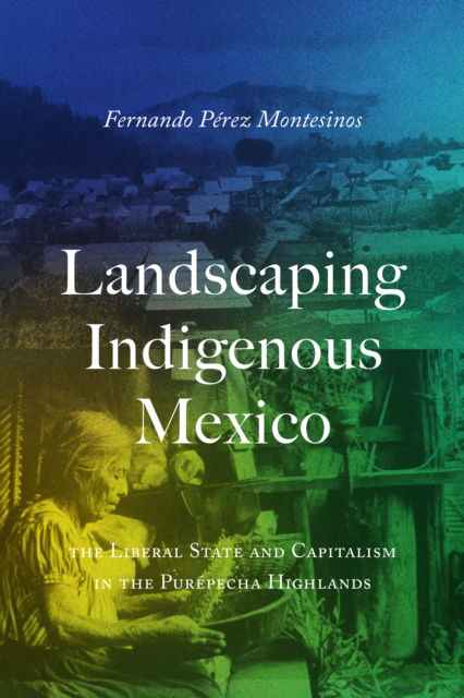 Cover for Fernando Perez-Montesinos · Landscaping Indigenous Mexico: The Liberal State and Capitalism in the Purepecha Highlands (Hardcover Book) (2025)
