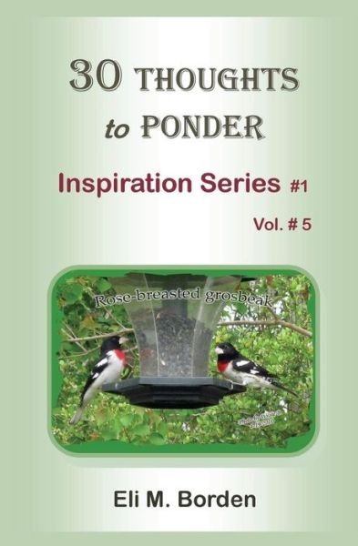 Cover for Eli M Borden Phd · 30 Thoughts to Ponder: Inspiration Series # 1 (Paperback Book) (2014)