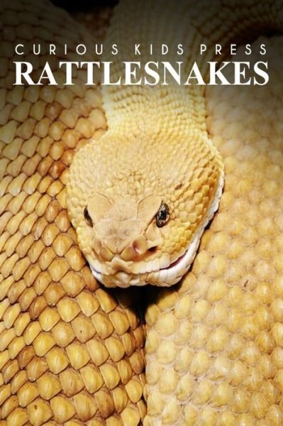 Cover for Curious Kids Press · Rattle Snakes - Curious Kids Press: Kids Book About Animals and Wildlife, Children's Books 4-6 (Paperback Book) (2014)