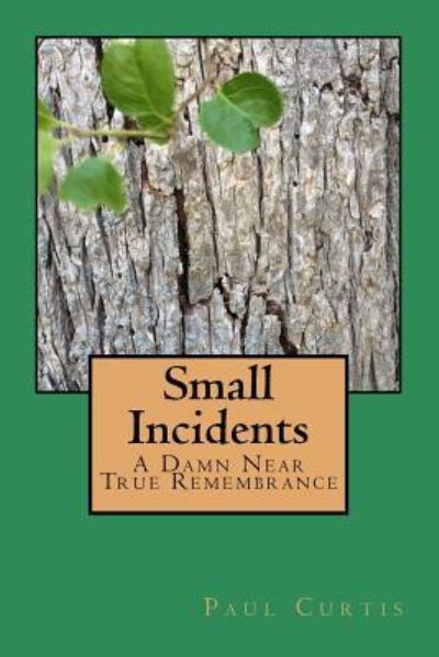 Small Incidents - Paul Curtis - Książki - Createspace Independent Publishing Platf - 9781535539999 - 22 sierpnia 2016