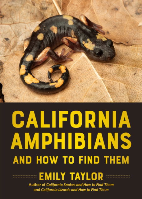 Cover for Emily Taylor · California Amphibians and How to Find Them (Paperback Book) (2026)
