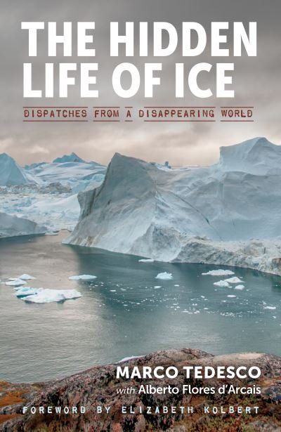 Cover for Marco Tedesco · Hidden Life of Ice (Book) (2020)