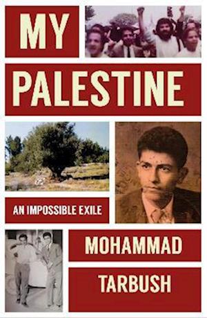 Cover for Mohammad Tarbush · My Palestine: An Impossible Exile (Hardcover Book) (2024)