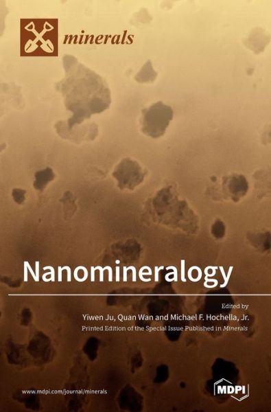 Cover for Yiwen Ju · Nanomineralogy (Hardcover Book) (2020)