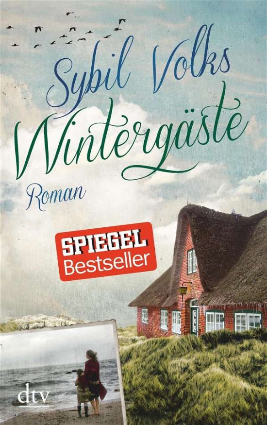 Cover for Sybil Volks · Wintergaste (Paperback Book) (2017)