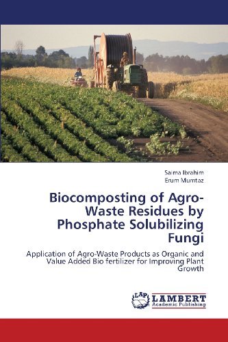 Cover for Erum Mumtaz · Biocomposting of Agro-waste Residues by Phosphate Solubilizing Fungi: Application of Agro-waste Products As Organic and Value Added Bio Fertilizer for Improving Plant Growth (Paperback Bog) (2013)