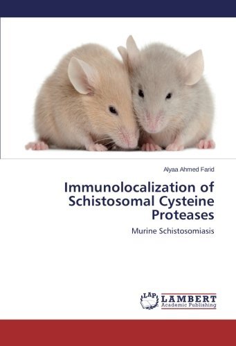 Cover for Alyaa Ahmed Farid · Immunolocalization of Schistosomal Cysteine Proteases: Murine Schistosomiasis (Pocketbok) (2014)