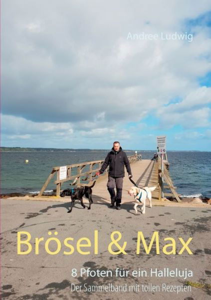 Cover for Ludwig · Brösel &amp; Max (Buch) (2019)