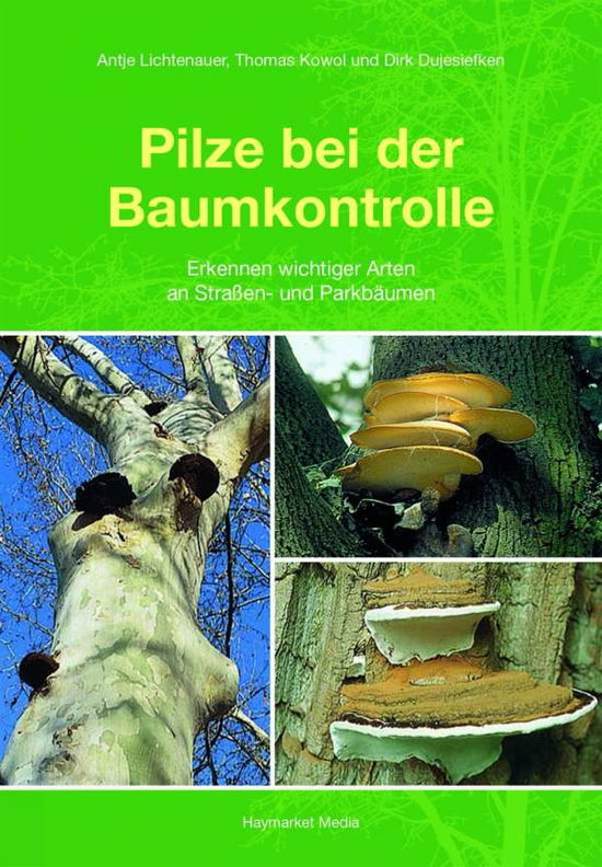 Pilze bei der Baumkontrolle - Lichtenauer - Książki -  - 9783878151999 - 