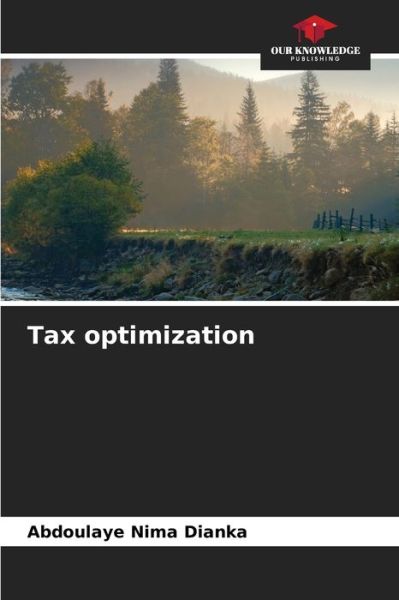 Cover for Abdoulaye Nima Dianka · Tax optimization (Paperback Book) (2021)