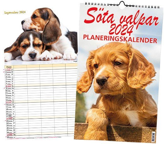 Cover for Söta valpar Planeringskalender 2024 (Spiral Book) (2023)