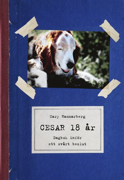 Cover for Cary Hammarberg · Cesar 18 år : dagbok inför ett svårt beslut (Map) (2010)