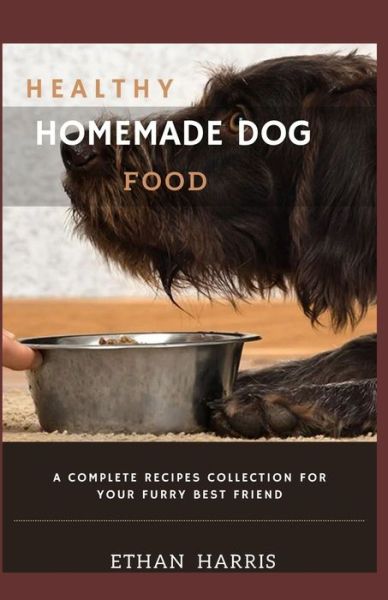 Cover for Ethan Harris · Healthy Homemade Dog Food (Paperback Book) (2021)